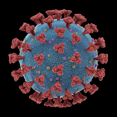 Coronavirus numbers continue to rise statewide
