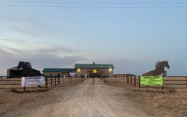 New Junction City Facility Is Rainbow For Rescuing And Rehabilitating Unwanted Horses