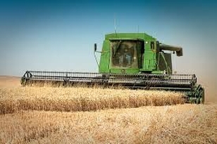 Over One-Quarter Of Kansas Wheat Harvested
