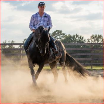 Horse Guru Coming To ‘Fix’ Horses At EquiFest Of Kansas