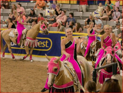 Dangerous Stunts On Galloping Horses Featuring Trixie Chicks Entertainment For EquiFest Of Kansas